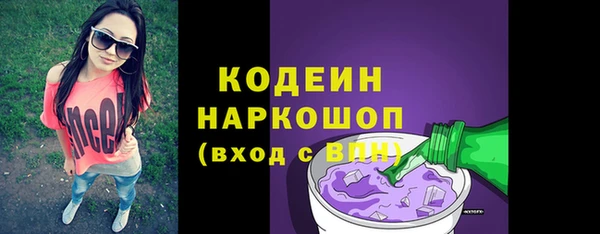 трава Белокуриха