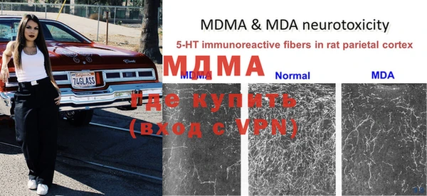 трава Белокуриха