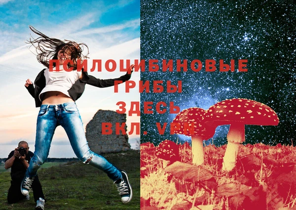 трава Белокуриха