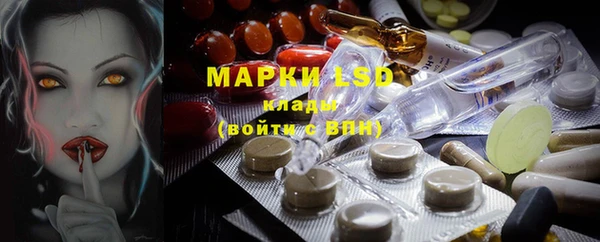 трава Белокуриха