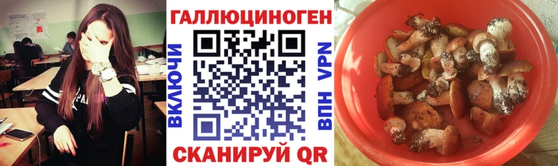 наркота  даркнет официальный сайт  мега как войти  Галлюциногенные грибы ЛСД  Пермь 